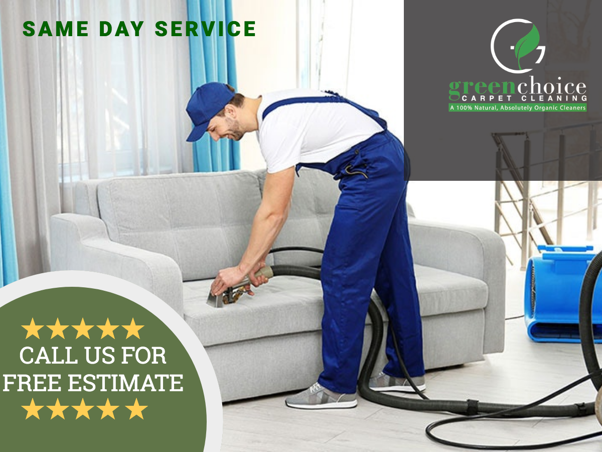 professionally clean couch cost