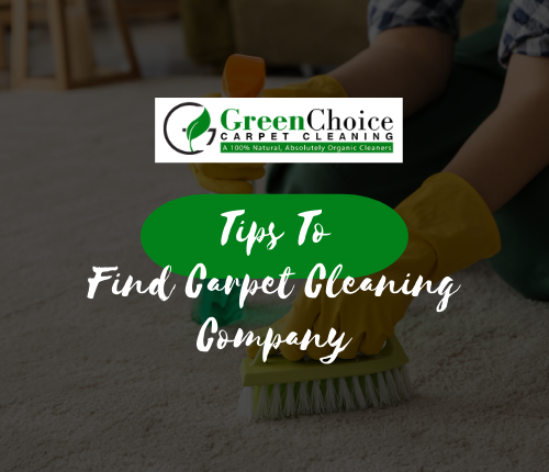 tips-find-Carpet-Cleaning-Company