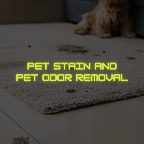 pet-stain-and-odor-removal
