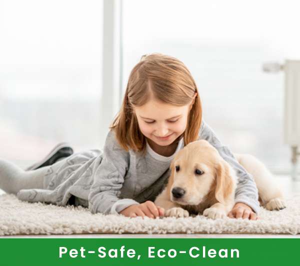 Carpet Cleaning Brooklyn