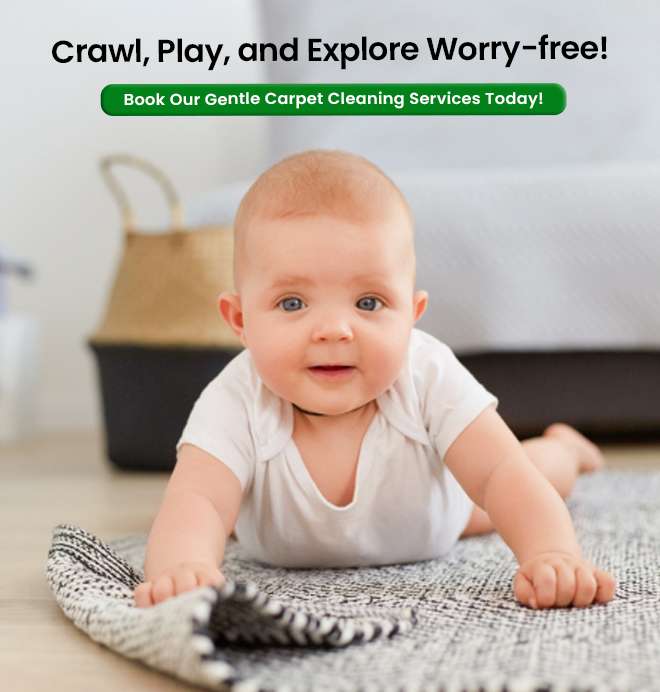 carpet cleaning service