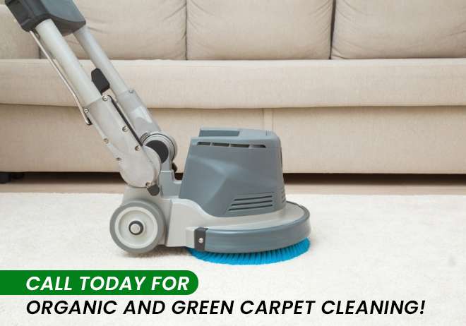 carpet cleaning
