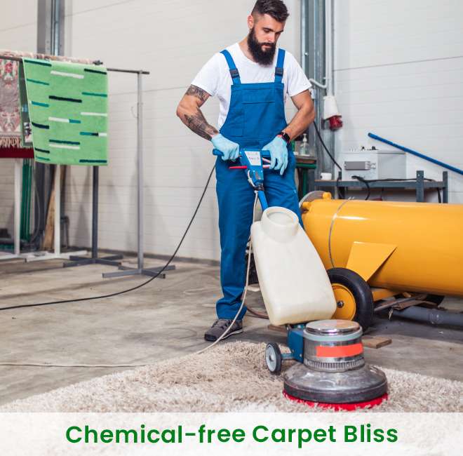 carpet cleaning