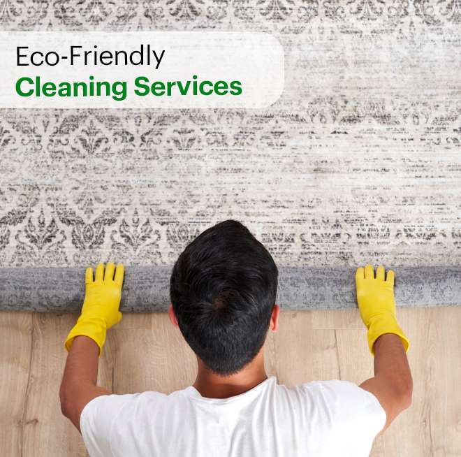 carpet cleaning