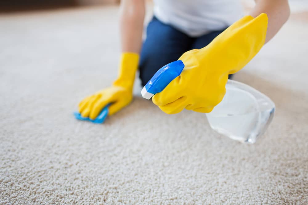 how to clean your carpet without a vacuum