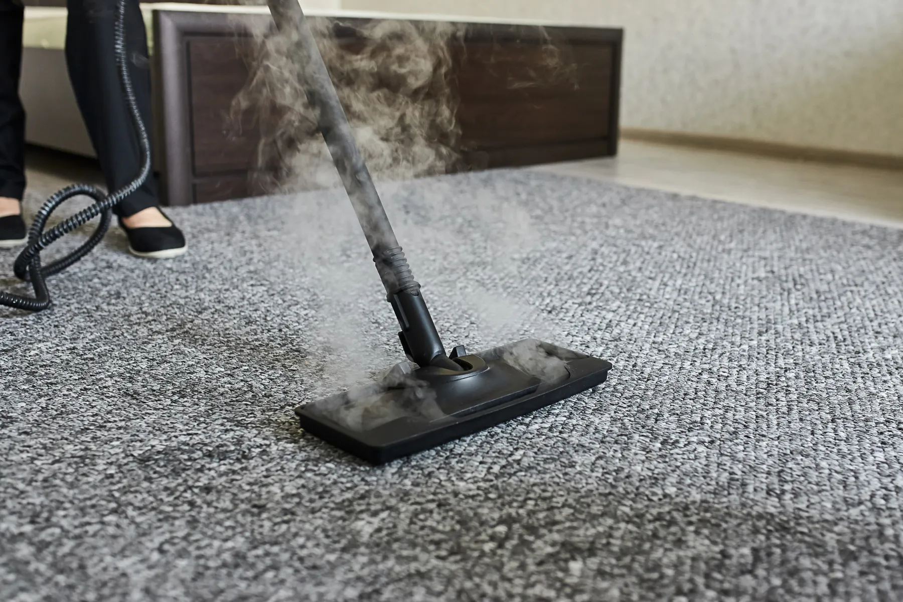 Does Carpet Cleaning Kill Fleas? Best Carpet Cleaner that Kills Fleas