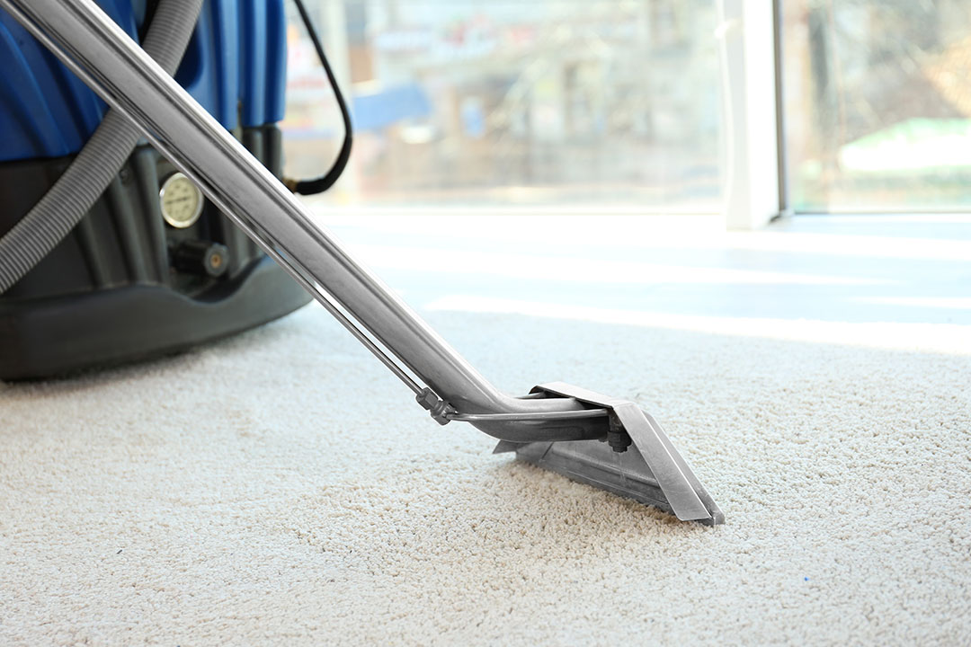 Long Island Carpet Shampoo Clearing Service