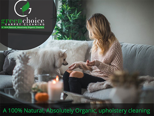 Organic Upholstery Cleaning