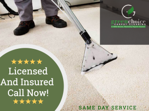 Green Cleaning Products
