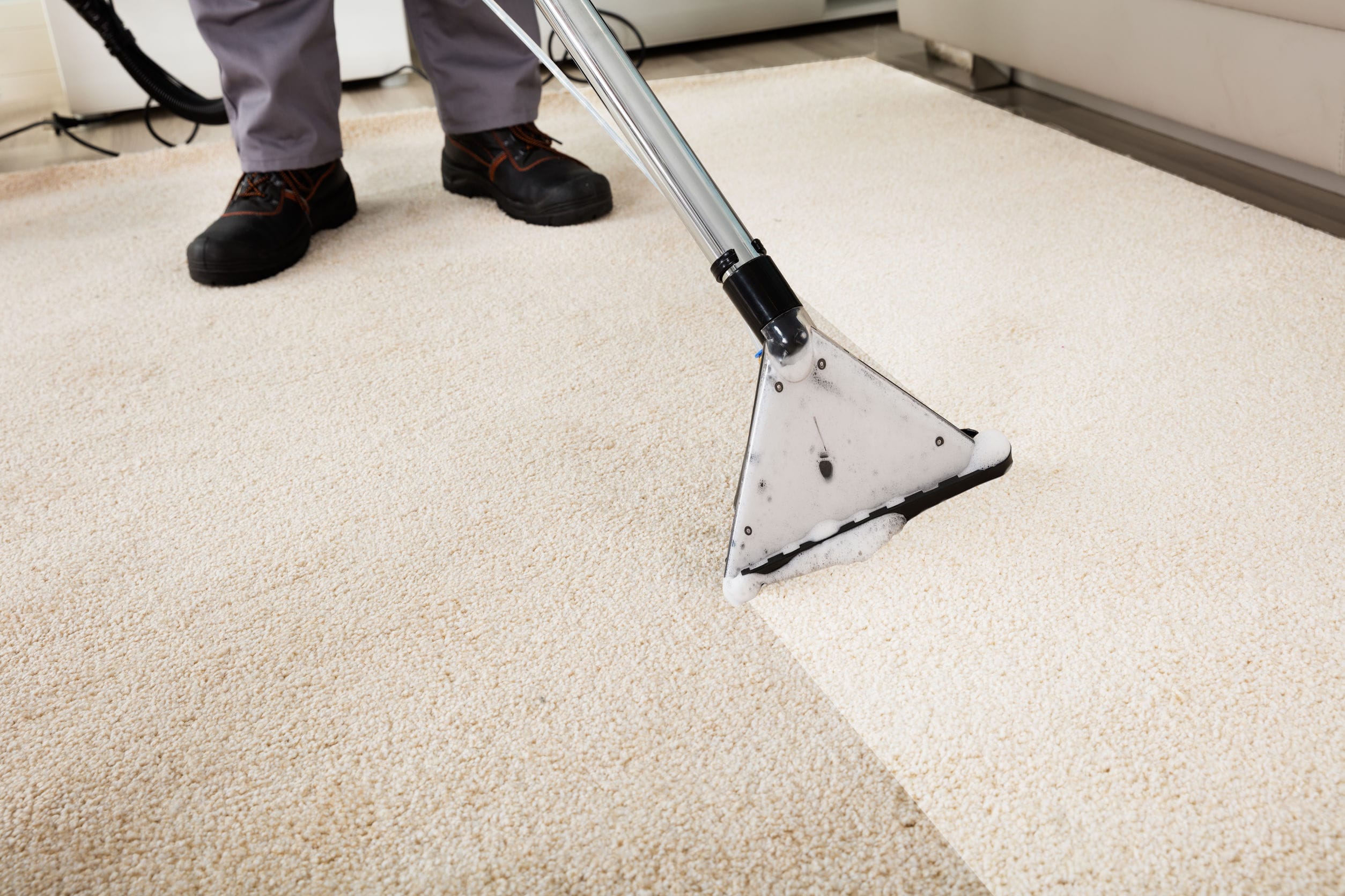 Carpet Cleaning Business