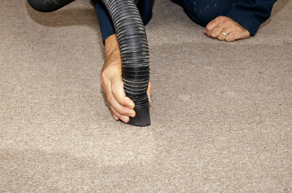 How to dry carpets after cleaning