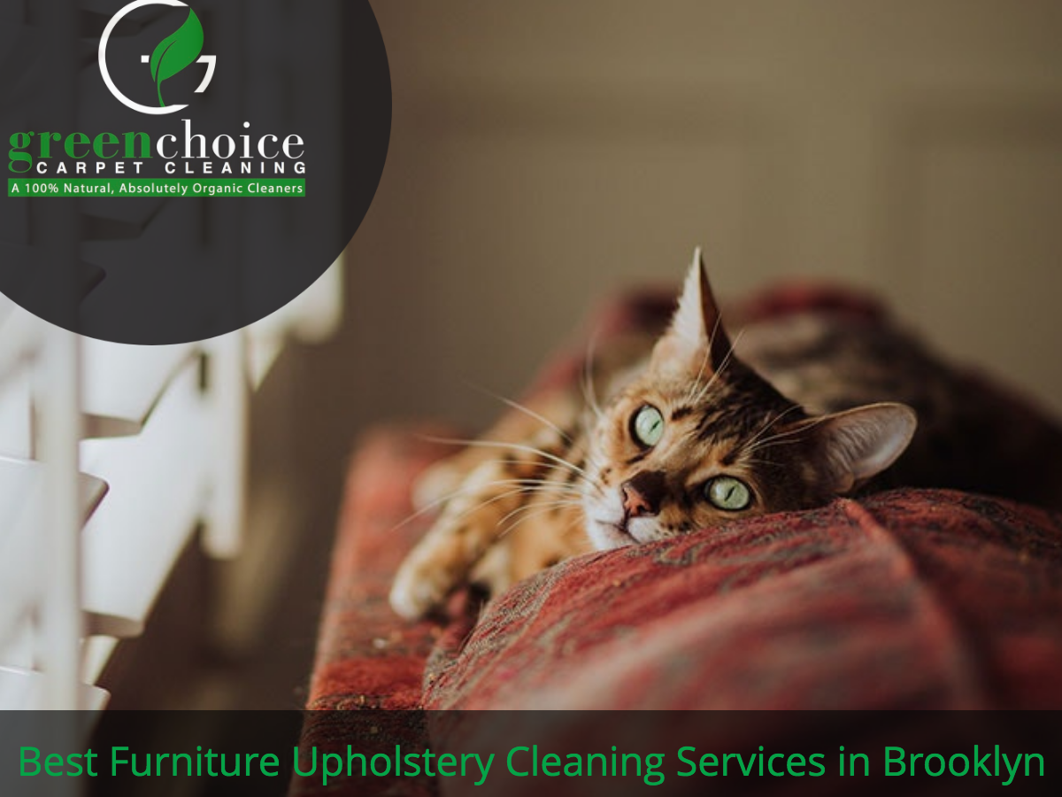 Best Furniture Upholstery Cleaning Services in New Jersey