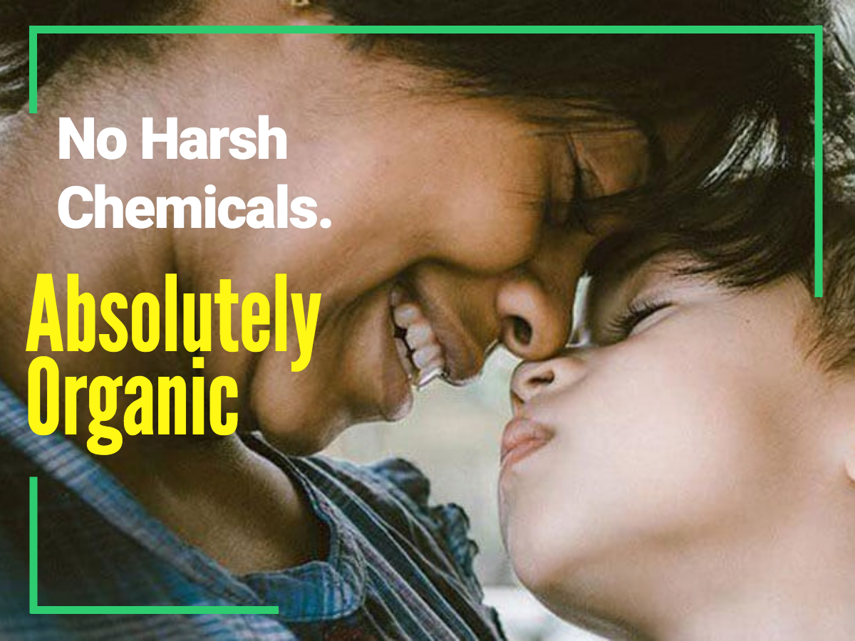 Organic Rug Cleaning NYC Organic Rug Cleaners in New York Best