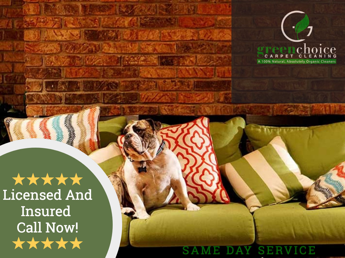 Upholstery Cleaning Company