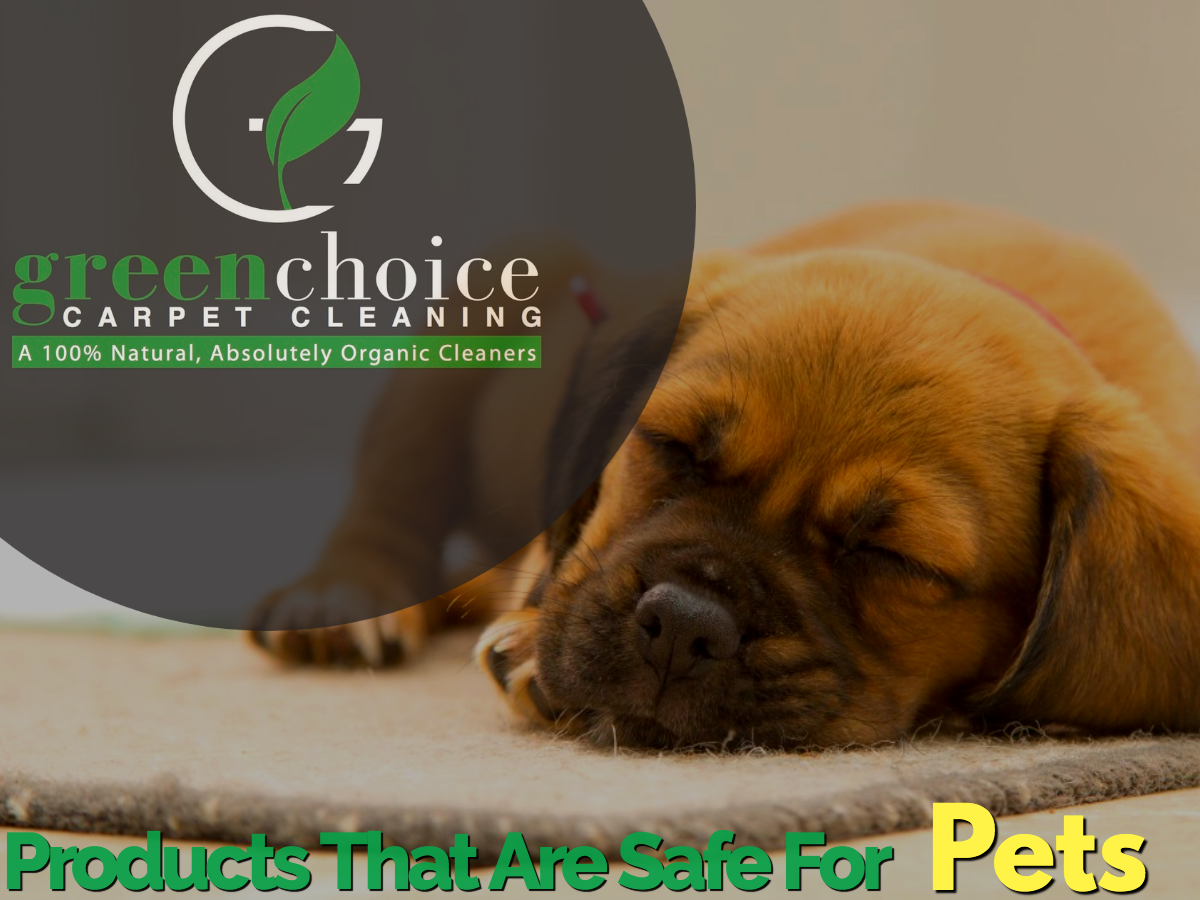 Our Product Is 100% Organic Dog Safe Pet Safe In NYC