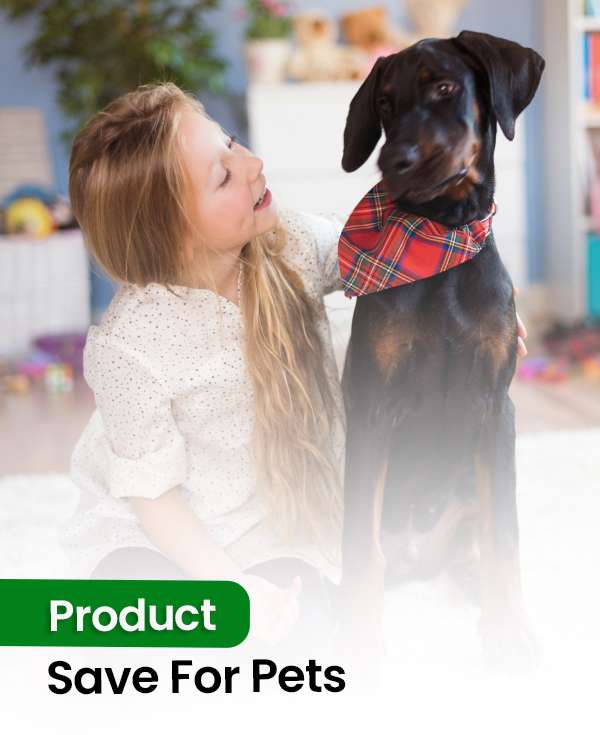 Pet Safe Cleaning New York City