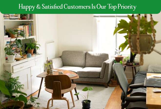 carpet cleaning New York City