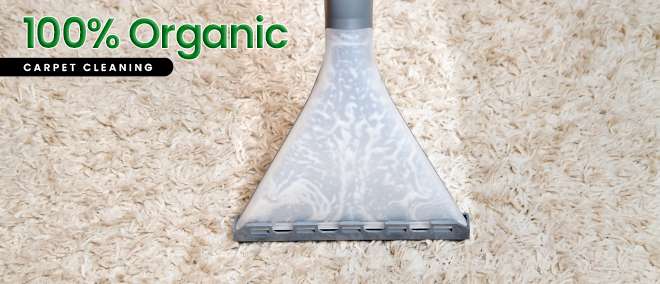 carpet cleaning New York City