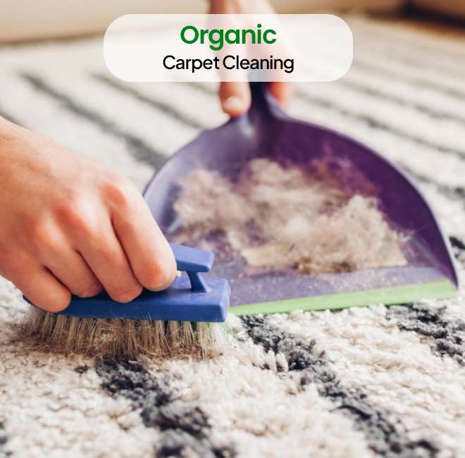 Carpet Cleaning Queens NY Same Day Service! 20OFF