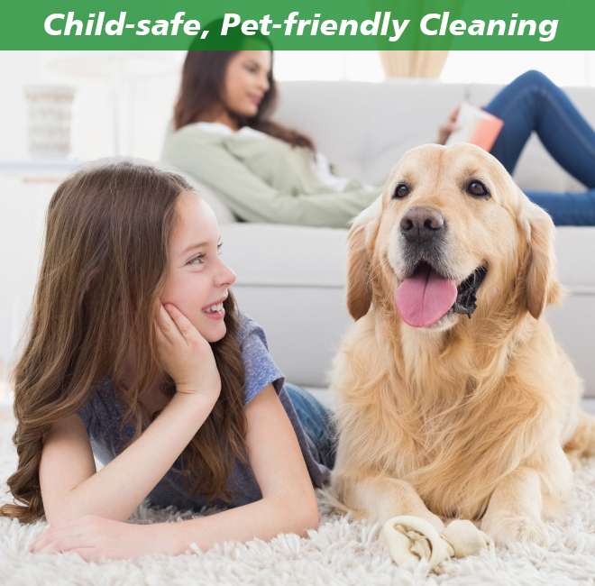 Carpet Cleaning Queens NY Same Day Service! 20OFF