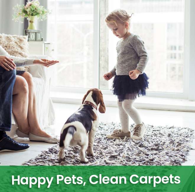 Carpet Cleaning Queens NY Same Day Service! 20OFF