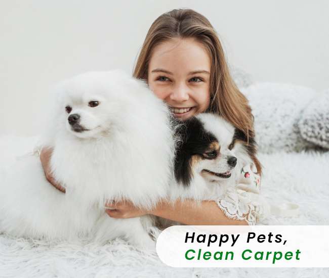 Carpet Cleaning Queens NY Same Day Service! 20OFF
