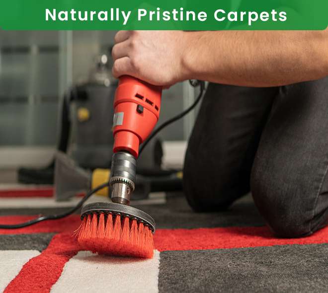 Carpet Cleaning Queens NY Same Day Service! 20OFF