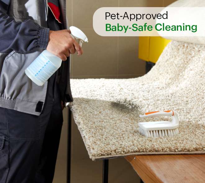 Carpet Cleaning Queens NY Same Day Service! 20OFF