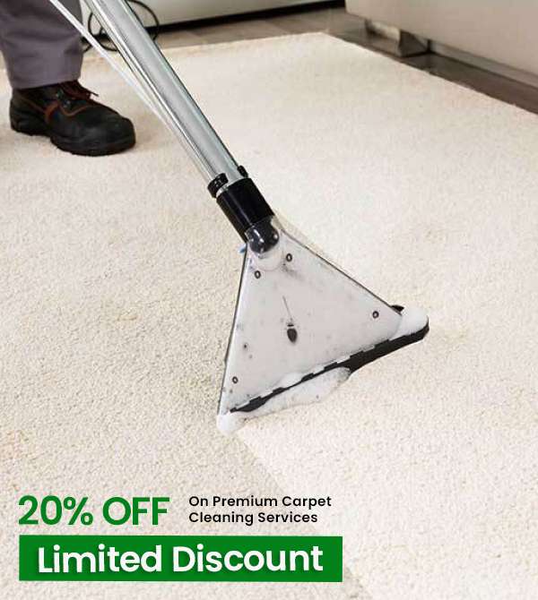 carpet cleaning