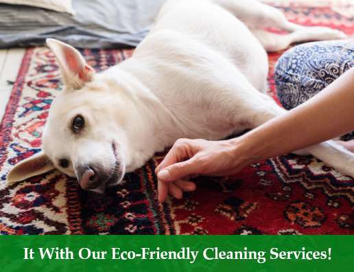 Pet Safe Cleaning